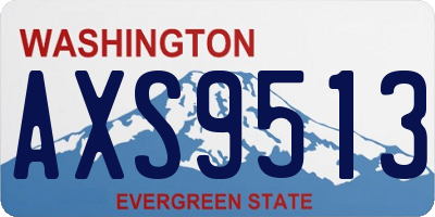 WA license plate AXS9513
