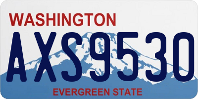 WA license plate AXS9530