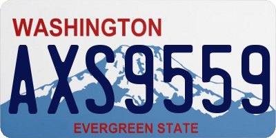 WA license plate AXS9559