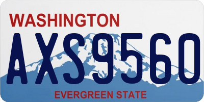 WA license plate AXS9560