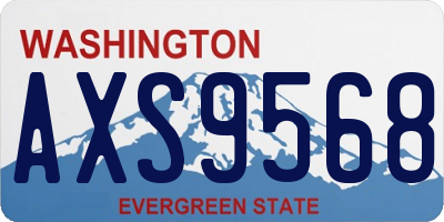 WA license plate AXS9568