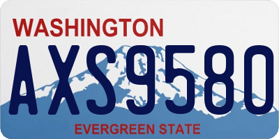 WA license plate AXS9580