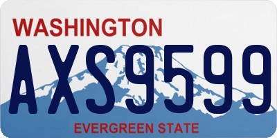 WA license plate AXS9599