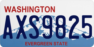 WA license plate AXS9825
