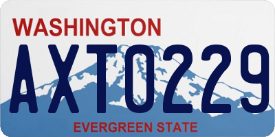 WA license plate AXT0229