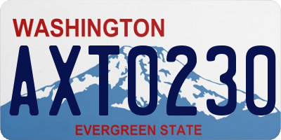 WA license plate AXT0230