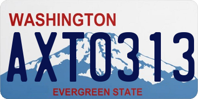 WA license plate AXT0313