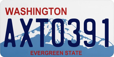 WA license plate AXT0391