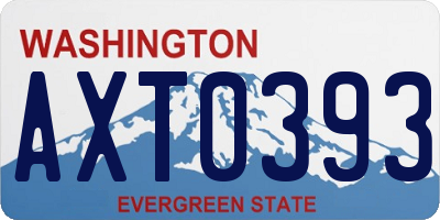 WA license plate AXT0393