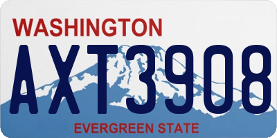 WA license plate AXT3908