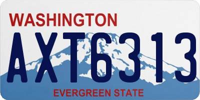WA license plate AXT6313
