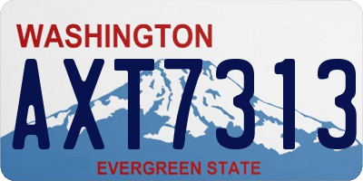 WA license plate AXT7313
