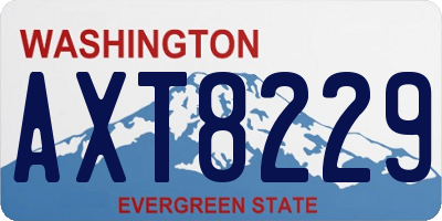 WA license plate AXT8229