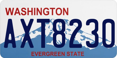 WA license plate AXT8230