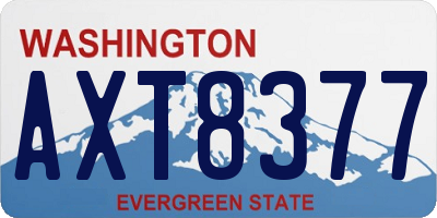 WA license plate AXT8377