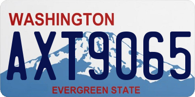WA license plate AXT9065