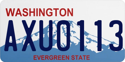 WA license plate AXU0113