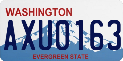 WA license plate AXU0163