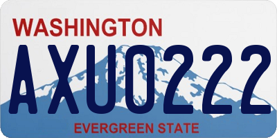 WA license plate AXU0222