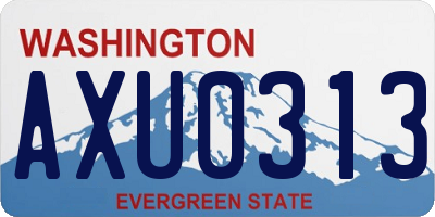 WA license plate AXU0313