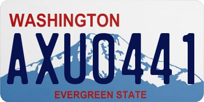 WA license plate AXU0441