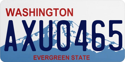 WA license plate AXU0465