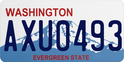 WA license plate AXU0493