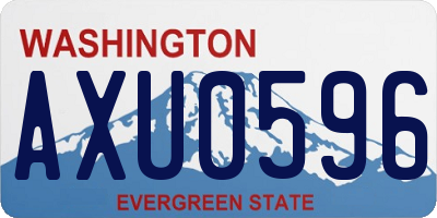 WA license plate AXU0596