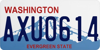 WA license plate AXU0614
