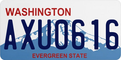 WA license plate AXU0616