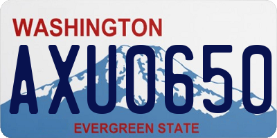 WA license plate AXU0650