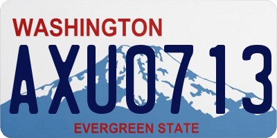 WA license plate AXU0713