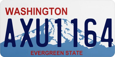 WA license plate AXU1164