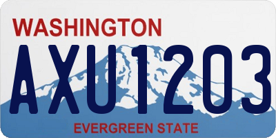WA license plate AXU1203