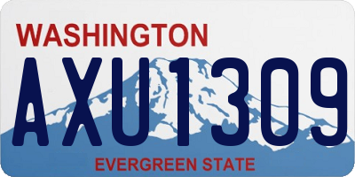 WA license plate AXU1309