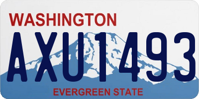 WA license plate AXU1493