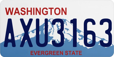 WA license plate AXU3163