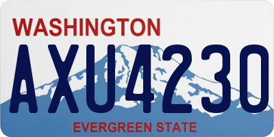 WA license plate AXU4230
