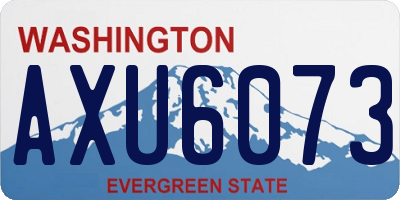WA license plate AXU6073