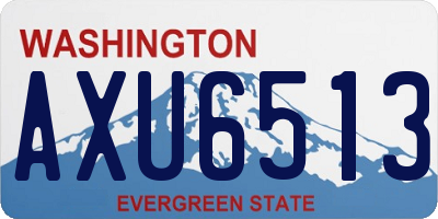 WA license plate AXU6513