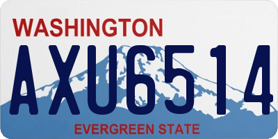 WA license plate AXU6514