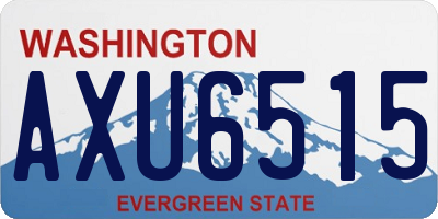 WA license plate AXU6515