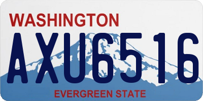WA license plate AXU6516