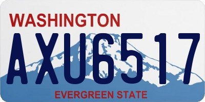 WA license plate AXU6517