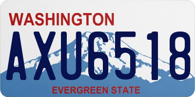 WA license plate AXU6518