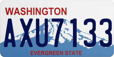WA license plate AXU7133