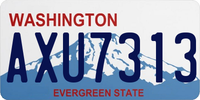 WA license plate AXU7313