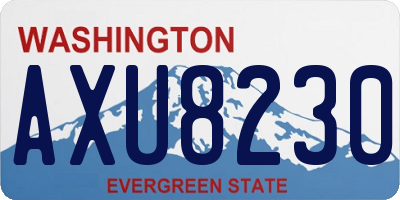 WA license plate AXU8230