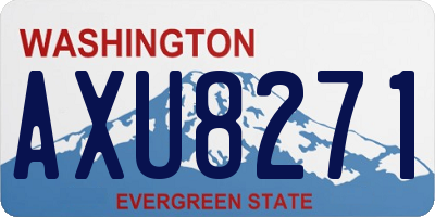 WA license plate AXU8271