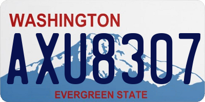 WA license plate AXU8307